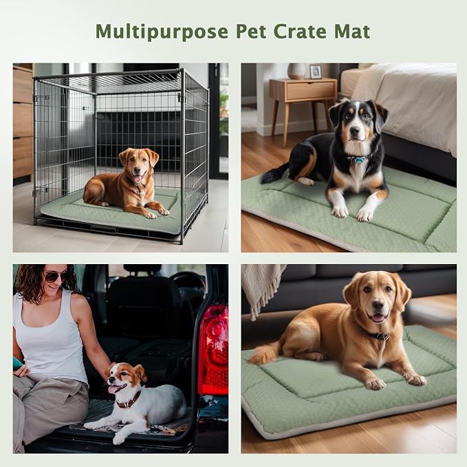 Dog Bed Mat, Crate Pad Reversible,Soft Kennel Washable Crate Mat (Cool and Warm),Pet Sleeping Mattress for Small Medium Dogs XB009 (42''x28'',Sage Green)