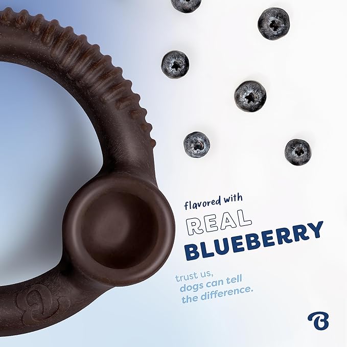 Benebone Ring Durable Dog Chew Toy for Aggressive Chewers – Limited Edition Blueberry Flavor, Large