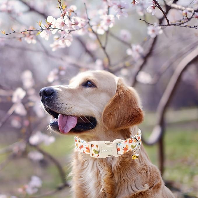 ARING PET Dog Collar, Cute Spring Summer Insects Bee Floral Doggy Collars with Quick Release Buckle for Puppy Small Medium Large Dogs-XS