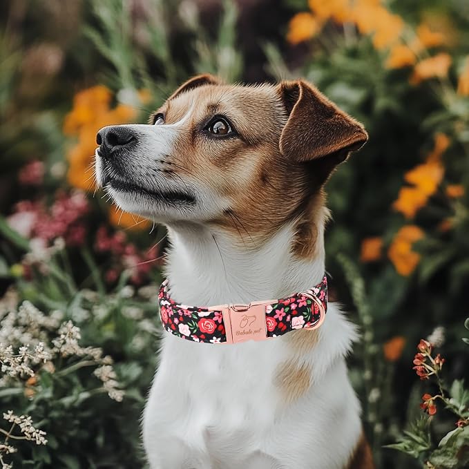 Floral Dog Collar - Rose Red Wild Flowers Pattern Cute Puppy Collar, Adjustable Winter Holiday Metal Buckle Dog Collars for Small Medium Large Dogs S