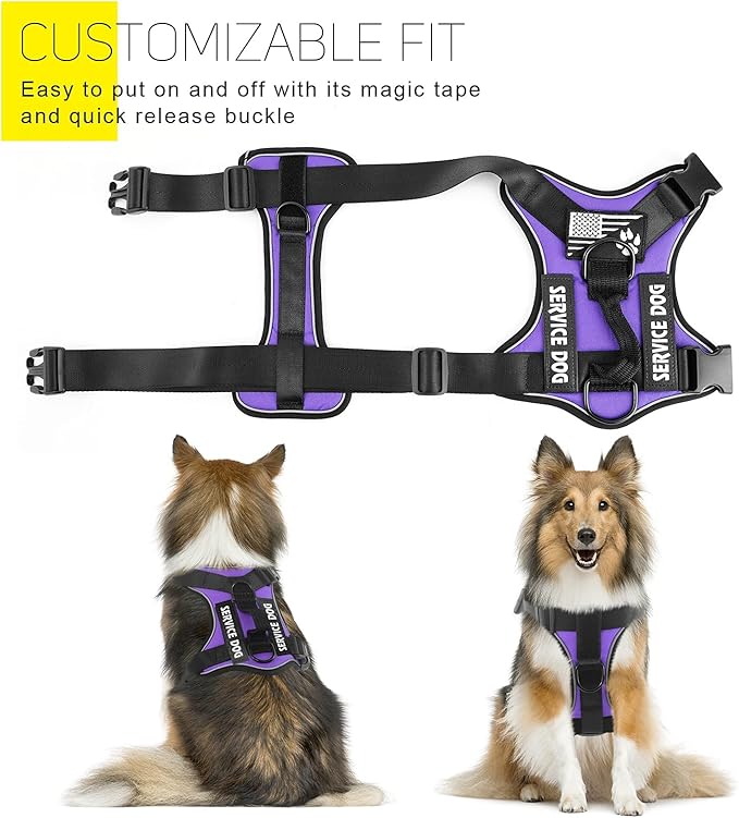 Service Dog Harness, Reflective Dog Vest Harness with 5 PCS Patches, Adjustable Soft Oxford Pet Harness, Inner Layer Mesh, Easy to Control for Dogs