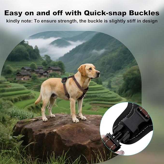 Plutus Pet Adjustable No Pull Dog Harness with Leather Accents, Heavy Duty Reflective Nylon Vest for Training, Hiking, Easy Walk Harness for Small, Medium, Large Dogs (Chocolate, XL)
