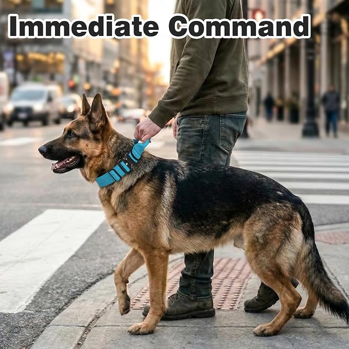 Joytale Tactical Dog Collar for Medium Dogs with Control Handle, Heavy Duty Military Training Collar for Power Breeds, AirTag Holder Case, Quick Release Metal Buckle, Soft Padded, M, Sky Blue