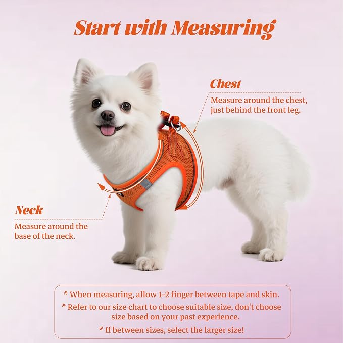 YIMEIS Dog Harness and Leash Set, No Pull Soft Mesh Pet Harness, Reflective Adjustable Puppy Vest for Small Medium Large Dogs, Cats (Orange01, Small (Pack of 1)