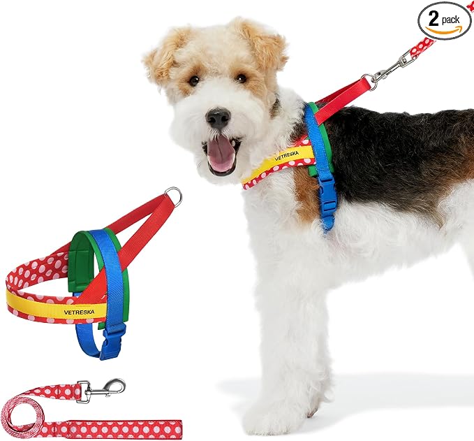 VETRESKA MoMA Dog Harness and Leash Set, Easy Walk Dog Harness for Small Medium Dogs, No Pull Puppy Harness for Walking and Training, Adjustable, Take Control & Anti-Twist Pet Lead Combo(Red, XS)