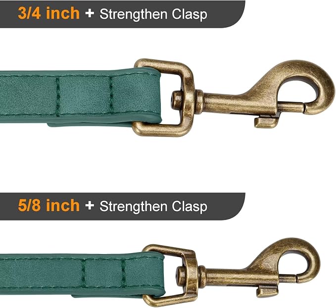 Didog Stylish PU Leather Dog Leash for Large Dogs, Easy to Clean 5ft Dog Leashes for Medium Dogs, Fashionable and Elegant for Walking, Running and Training,Green, M
