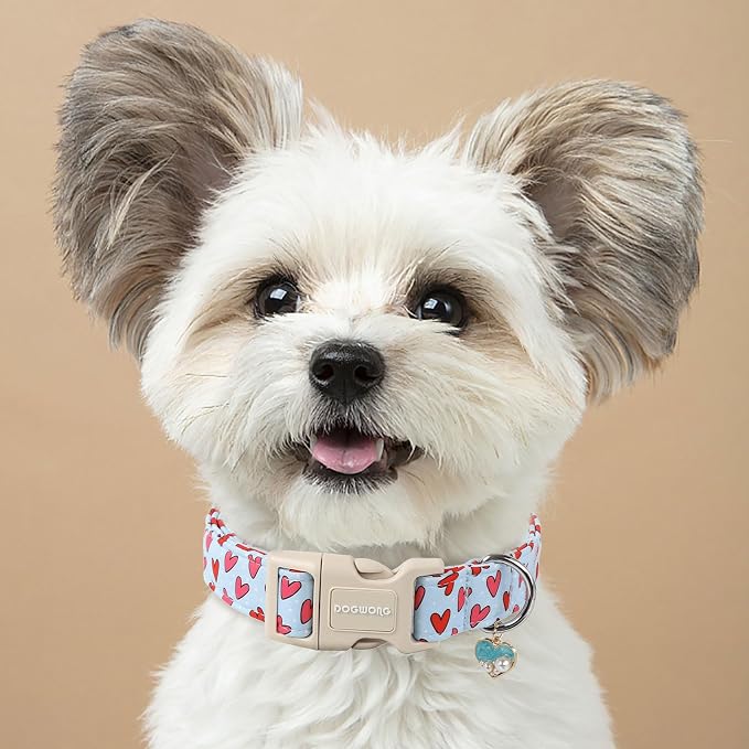 DOGWONG Valentine Dog Collar- Cute Blue Heart Dog Collars Adjustable Designer Valentine’s Day Puppy Heart Dog Collar for Small Medium Large Dogs L