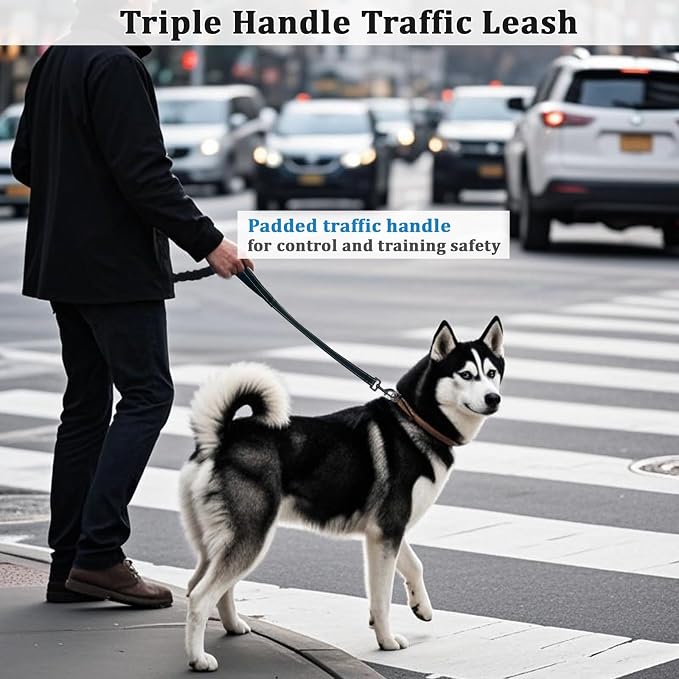WYuZe 3 Handle Dog Leash for Medium Large Dogs, Bungee Dog Training Leash | 7FT, Reflective, Heavy Duty Nylon, Shock Absorbing, Triple Padded Traffic Handles, No Pull Walking Hiking
