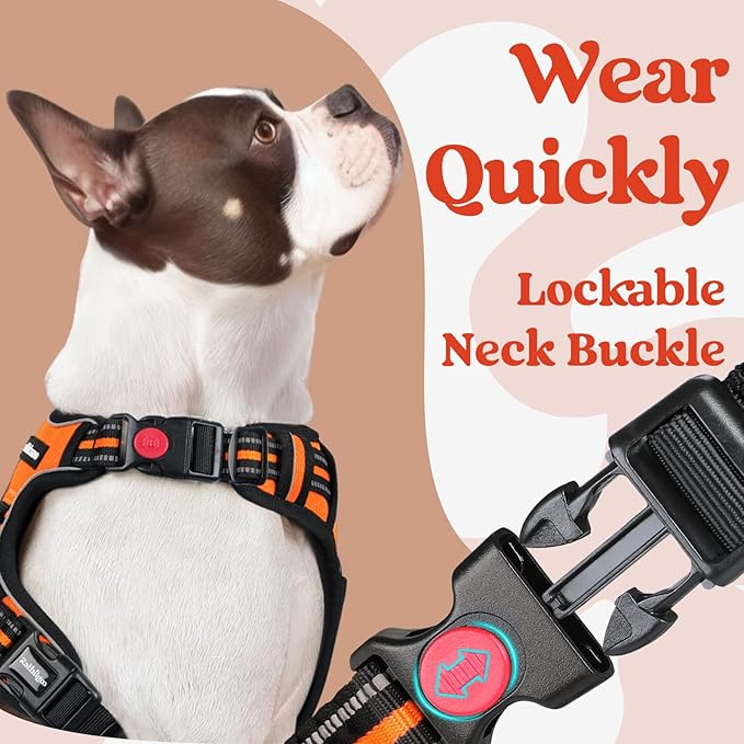 rabbitgoo Dog Harness Small Sized, No Pull Easy On & Off with 3 Buckles Pet Harness, Adjustable Soft Walking Vest with 2 Clips and Handle, Reflective for Small Dogs, Orange, S