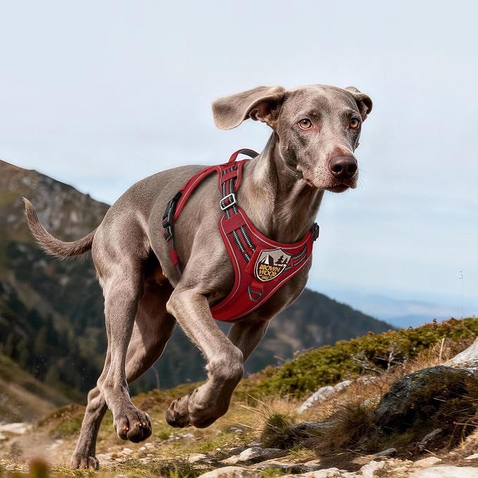 rabbitgoo Tactical Dog Harness for Large Dogs No Pull Adjustable Military Vest with Handle MOLLE Reflective Heavy Duty Dog Vest for Walking Training Hunting Outdoor Working Medium Size Dog Red L