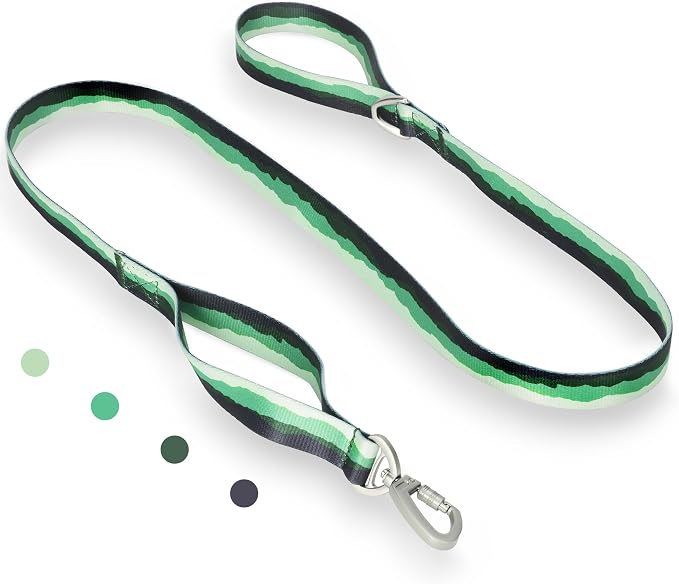 Double Handle Dog Leash 5FT – Heavy Duty Nylon Flat Leash with Traffic Handle & Safety Lock Clip,Colorful Durable Walking Lead for Small Medium Large Dogs Training & Daily (Forest Mist)