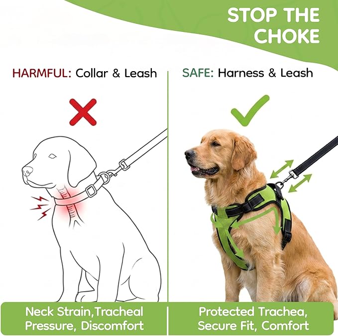 No Pull Reflective Adjustable Dog Harness With Handle- Comfortable Soft All Weather Mesh, Easy On Puppy Harness For Small Medium and Large Dogs (Green) X-Large