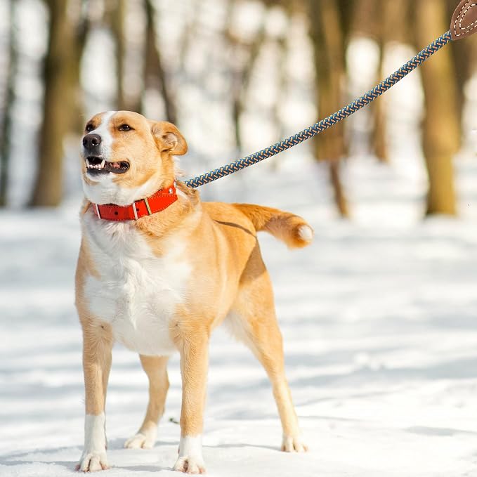Mile High Life Rope Leash with Genuine Leather Connection, 6 FT/5 FT/4 FT, Heavy Duty Dog Leash for Medium & Large Dogs (Peacock Blue, 72 Inch)