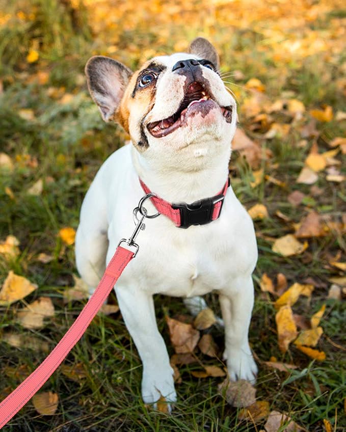 FunTags Length 10" - 16" Reflective Babypink Dog Collar for Small Dogs – Night Walking & Training Safety, Durable Quick Release Buckle, Nylon, Comfortable Adjustable, Width 3/4"