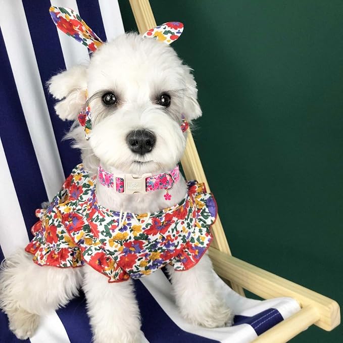 Summer Floral Dog Collar Girl Dog Collars for Small Dogs - Lightweight Adjustable Hot Pink Boho Female Dogs Everyday Collar with Safety Buckle S
