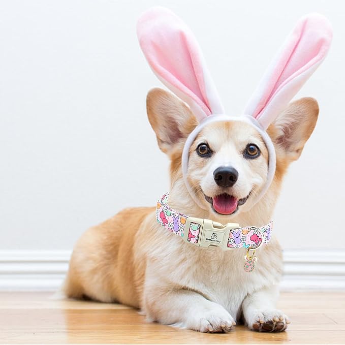 Lionheart glory Easter Dog Collar Colorful Collar for Medium Dog Collars Easter Egg Print Dog Collars Spring Female or Male Pet Gift Adjustable Heavy-Duty Holiday Dog Collar Plastic Buckle