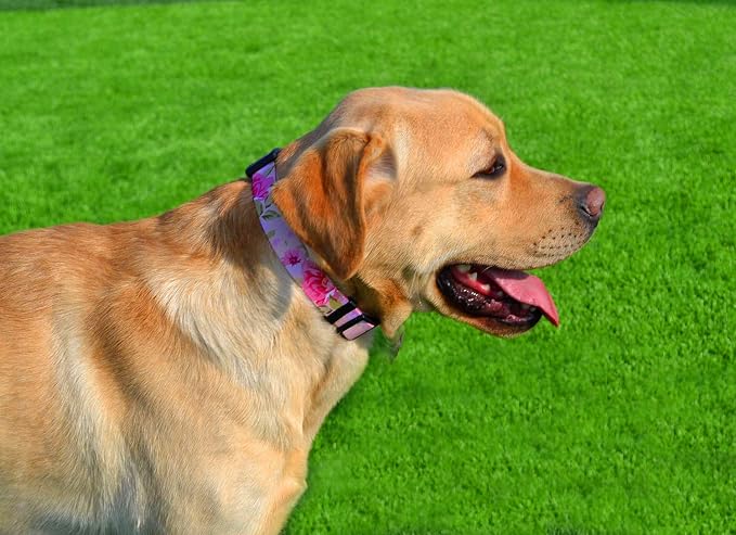 Mihqy Dog Collar with Bohemia Floral Tribal Geometric Patterns - Soft Ethnic Style Collar Adjustable for Small Medium Large Dogs（Pink Rose,L）