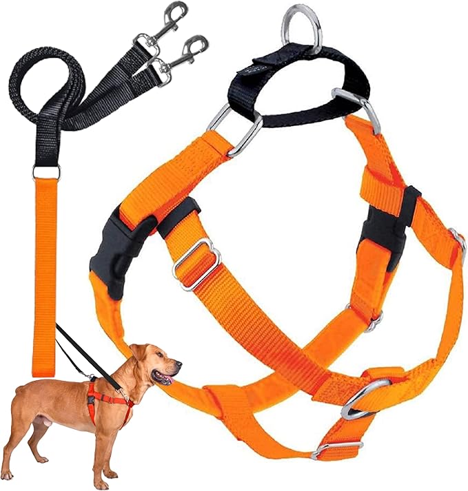 2 Hounds Design Freedom No Pull Dog Harness, Adjustable Harness and Leash Set, Easy Walking & Comfortable Control, Fits Small, Medium & Large Dogs, Solid Colors, Made in USA, 5/8" XS, Neon Orange
