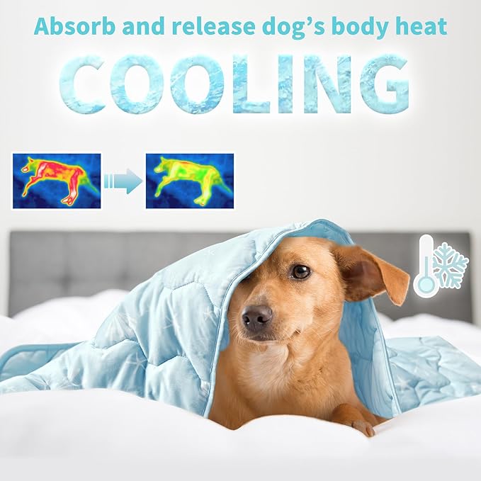 NWK Dog Cooling Blanket, Q-Max>0.345, Ice Silk Cool to Touch Material, Reversible Breathable Bed Cover, Furniture Protector Couch Sofa for Summer, Machine Washable (Ocean Blue,60'' X 80'')