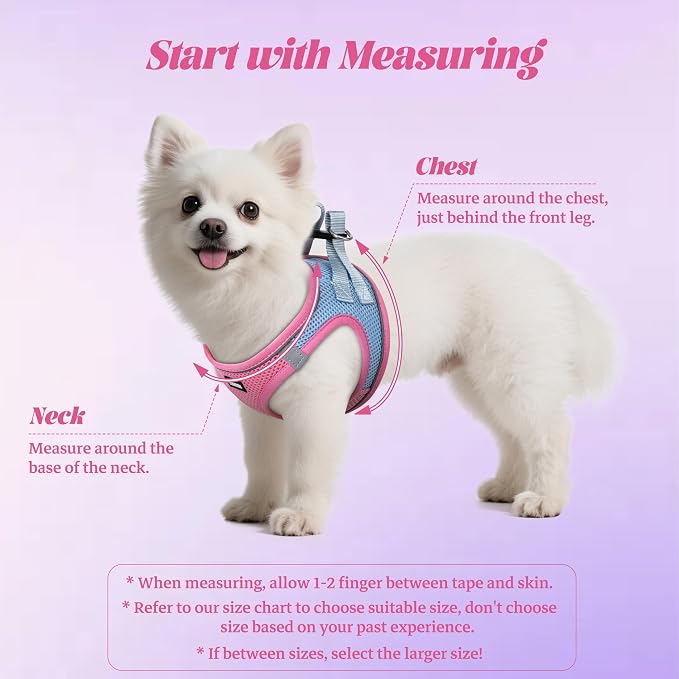 YIMEIS Dog Harness and Leash Set, No Pull Soft Mesh Pet Harness, Reflective Adjustable Puppy Vest for Small Medium Large Dogs, Cats (Pinkblue, X-Small (Pack of 1)