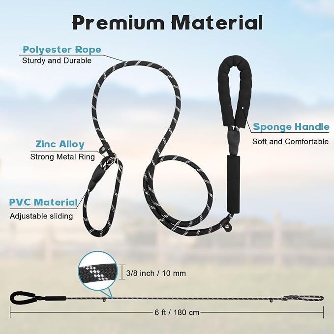 Amrules Dog Leash 6 FT with Comfortable Padded Handle, Training Loop Leash with Highly Reflective Threading for Medium Dogs, Black