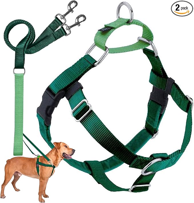 2 Hounds Design Freedom No Pull Dog Harness, Adjustable Harness and Leash Set, Easy Walking & Comfortable Control, Fits Small, Medium & Large Dogs, Solid Colors, Made in USA, 1" LG, Kelly Green