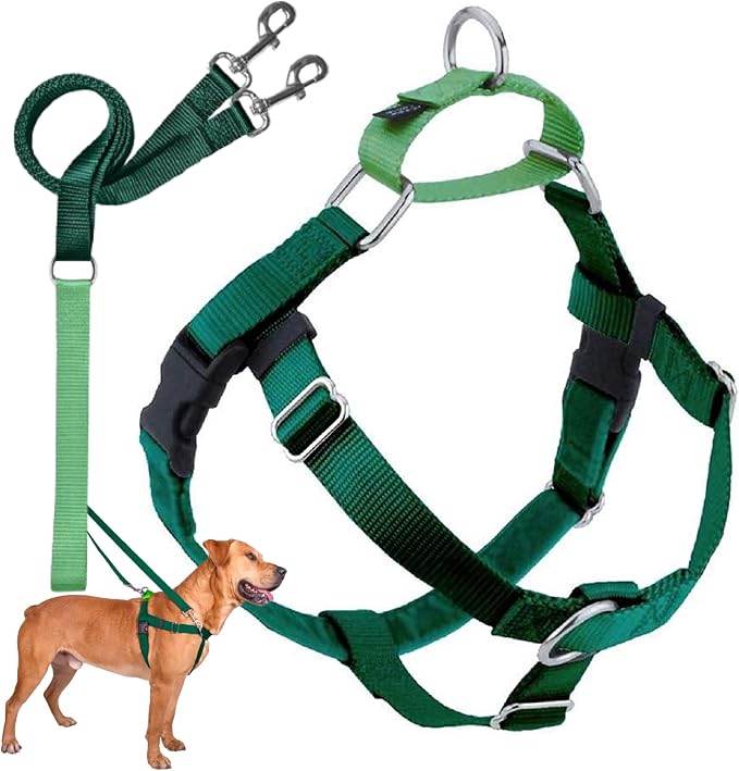 2 Hounds Design Freedom No Pull Dog Harness, Adjustable Harness and Leash Set, Easy Walking & Comfortable Control, Fits Small, Medium & Large Dogs, Solid Colors, Made in USA, 5/8" XS, Kelly Green