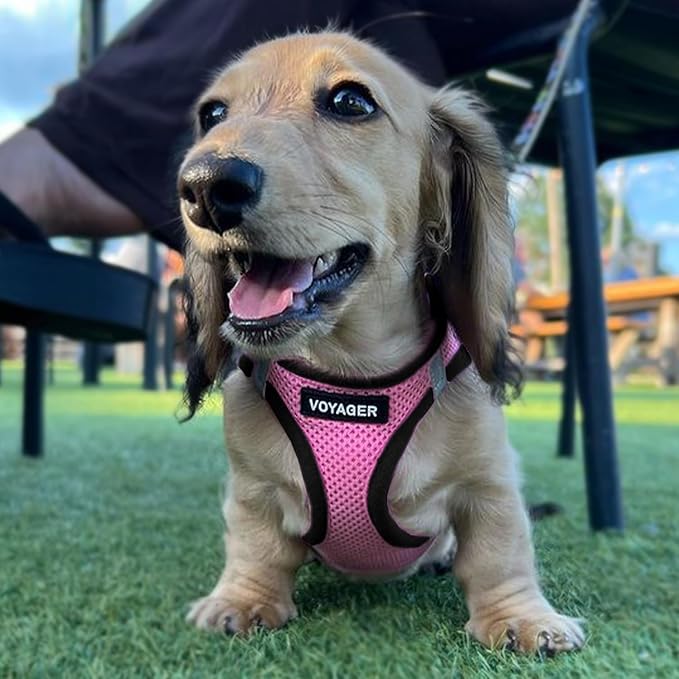 Best Pet Supplies - All Weather Mesh / Plush, Reflective, No Pull Harness for Small, Medium Dogs, Cats - Secure with Hook & Loop Fastener, Buckle, Double D-Rings - Pink/Black Trim, XS