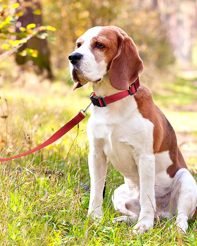 FunTags Length 14" - 20" Reflective Red Dog Collar for Medium Dogs – Night Walking & Training Safety, Durable Quick Release Buckle, Nylon, Comfortable Adjustable, Width 1"