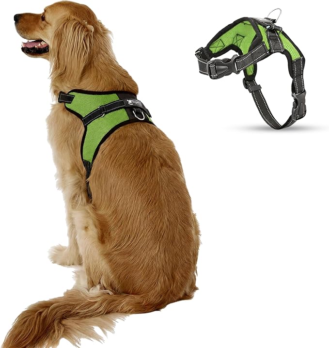 No Pull Reflective Adjustable Dog Harness With Handle- Comfortable Soft All Weather Mesh, Easy On Puppy Harness For Small Medium and Large Dogs (Green) X-Large