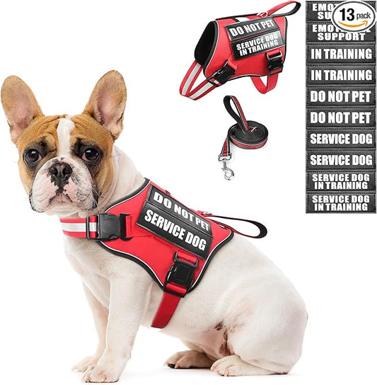 Service Dog Vest Harness and Leash Set+10 Patches,No Pull&Adjustable Reflective Dog Harness with Soft Padded Handle for Training/Everyday,Fit Small/Medium/Large/Extra-Large Dogs (Red S)