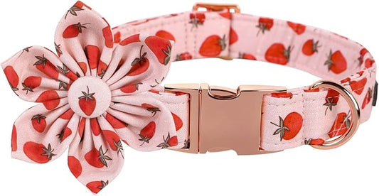 Lionet Paws Dog Collar with Flower - Cute Cotton Adjustable Flower Dog Cat Collar with Metal Buckle for Puppy Girl Boy, XS, Neck 8-12in