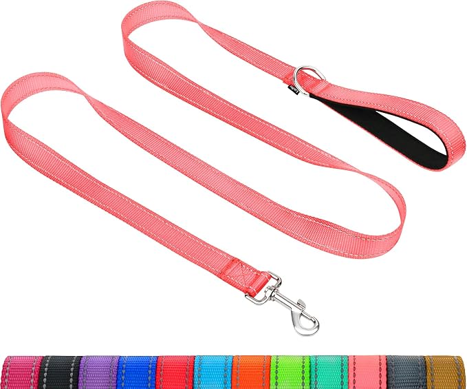 Taglory Dog Leash for Medium Large Dogs, Double-Sided Reflective for Night Walking, Neoprene Padded Handle, 1 inch by 6 ft, Heavy Duty for Medium Large Breeds 20-150 lbs, Pink