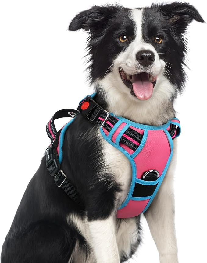 rabbitgoo Dog Harness Medium Sized, 3 Buckles Easy On & Off No Pull Pet Vest, Soft Padded Walking Pet Harness with Control Handle, Adjustable and Reflective, Rose Pink & Blue, M