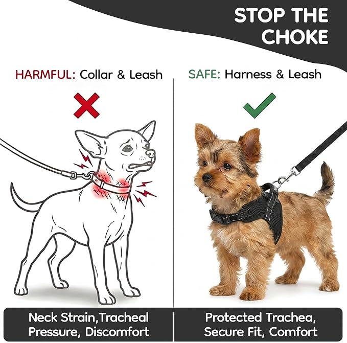 No Pull Reflective Adjustable Dog Harness with Handle- Comfortable Soft All Weather Mesh, Easy On Puppy Harness for Small Medium and Large Dogs (Black) XX-Small