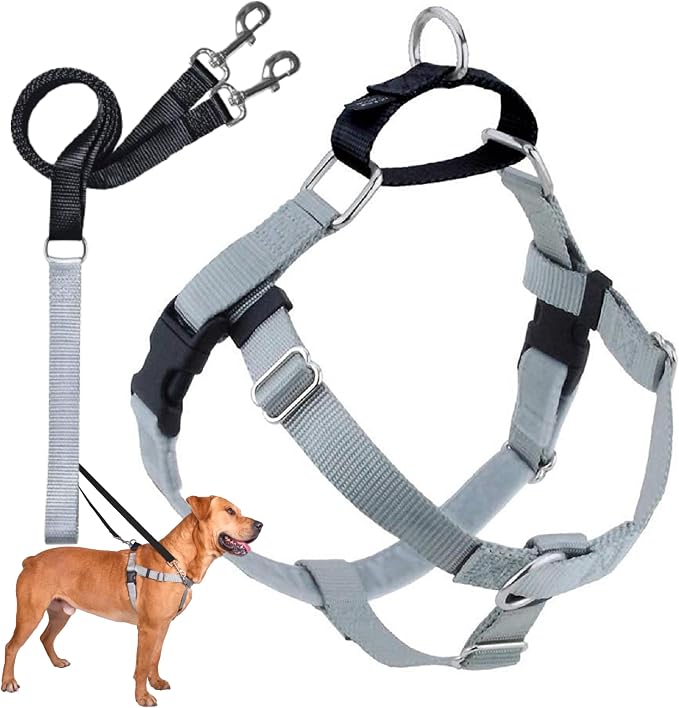 2 Hounds Design Freedom No Pull Dog Harness, Adjustable Harness and Leash Set, Easy Walking & Comfortable Control, Fits Small, Medium & Large Dogs, Solid Colors, Made in USA, 1" XL, Silver