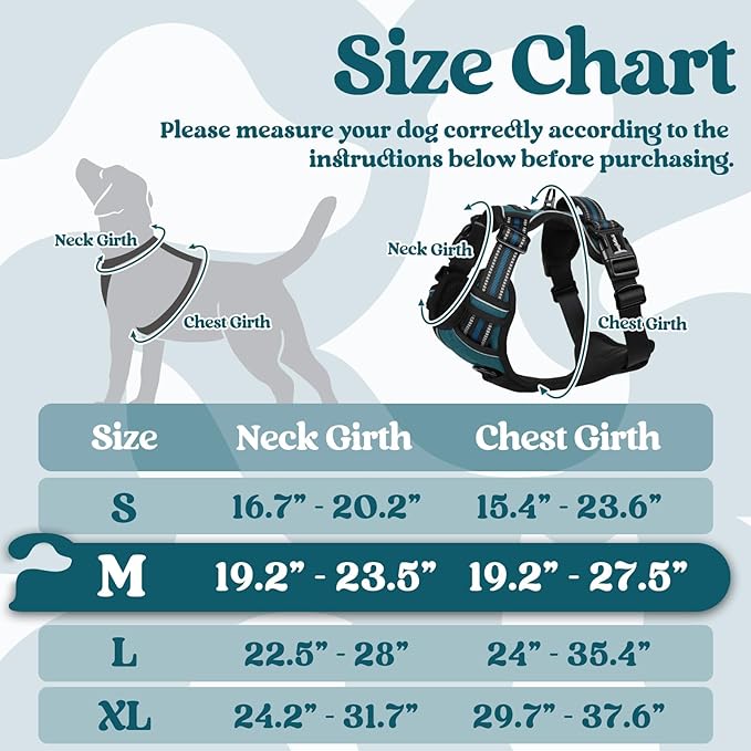 rabbitgoo Dog Harness Medium Sized, No Pull Easy On & Off with 3 Buckles Pet Harness, Adjustable Soft Walking Vest with 2 Clips and Handle, Reflective for Medium Dogs, Blue Coral, M
