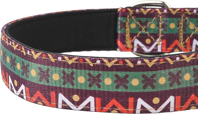 Reflective Dog Collar, Adjustable Soft Neoprene Padded Nylon Pet Collars with Buckle for Puppy and Small Dogs, Cats, Retro Geometric Flowers,M