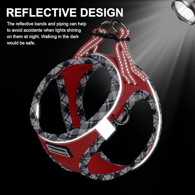 Mercano Soft Mesh Dog Harness and Leash Set, Step-in Reflective Breathable Lightweight Vest Harnesses with Safety Buckle for Small Dogs, Cats (Red, S)