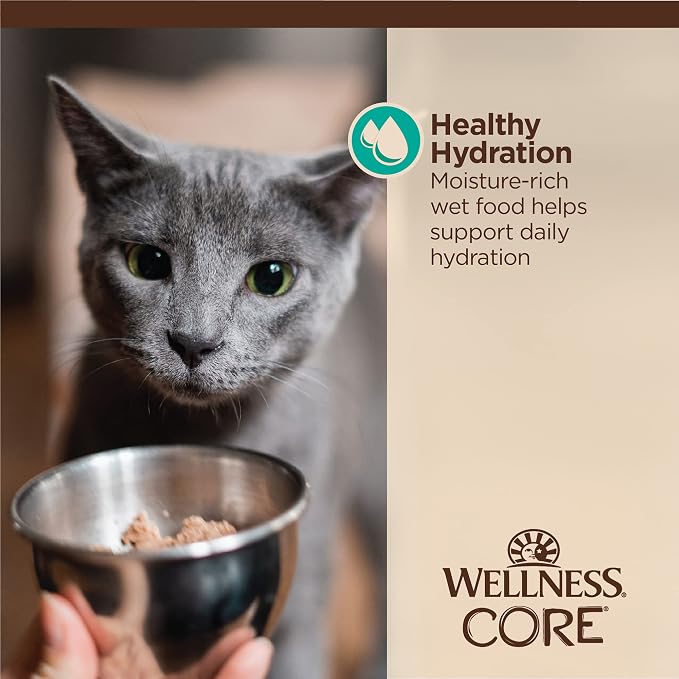 Wellness CORE Tiny Tasters Flaked Adult Wet Cat Food,Natural,Protein-Rich,Grain Free,1.75-Ounce Pouch,(Tuna & Salmon),(Pack of 24)