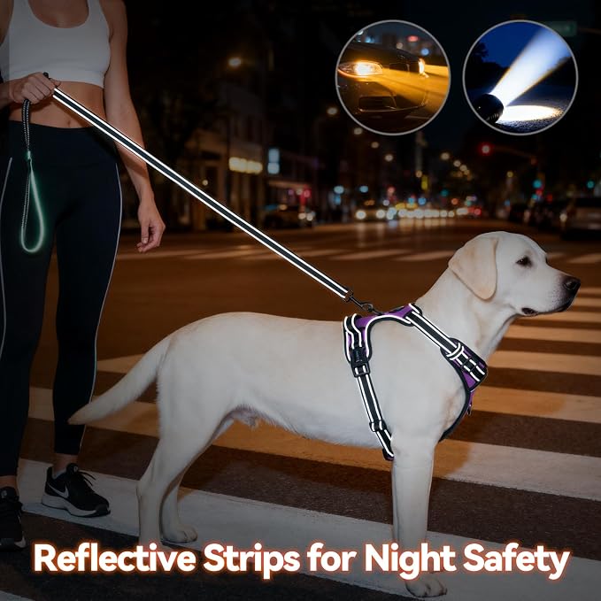 PHOEPET No Pull Dog Harnesses for Small Puppies Reflective Adjustable Front Clip Vest with 2 Metal Leash Attachment Hooks Soft Handle(S, Purple)
