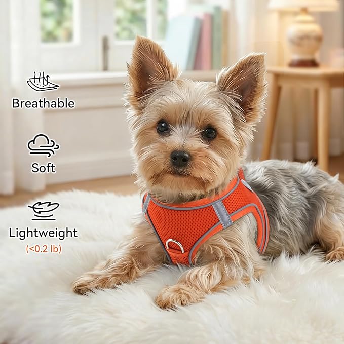 Joytale Small Dog Harness, Breathable Mesh Step-in Vest, Reflective Soft Padded Harnesses for Medium Dogs, Orange, XL