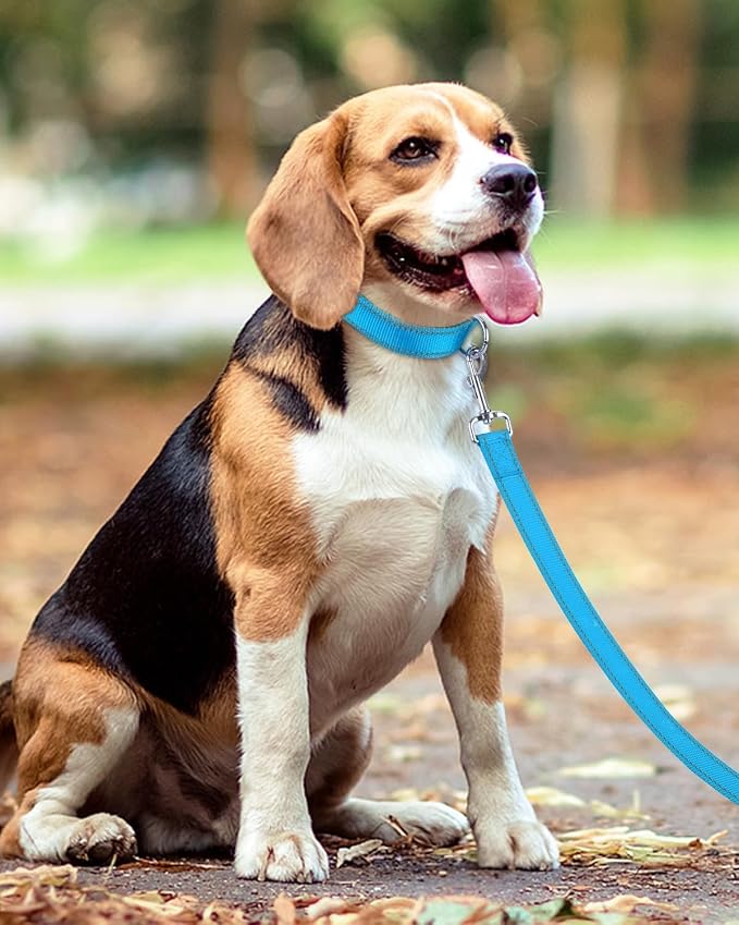 Taglory Dog Leash for Medium Large Dogs, Double-Sided Reflective for Night Walking, Neoprene Padded Handle, 1 inch by 6 ft, Heavy Duty for Medium Large Breeds 20-150 lbs, Sky Blue