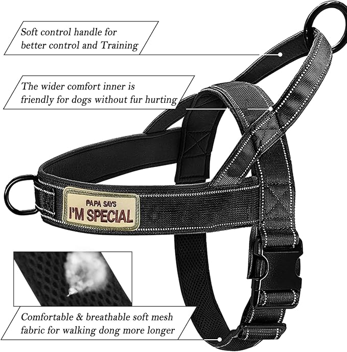 Green No Pull Dog Harness for Small Medium Large Sized Dog, Reflective Escape Proof Adjustable Dog Harnesses with 2 Patch, M