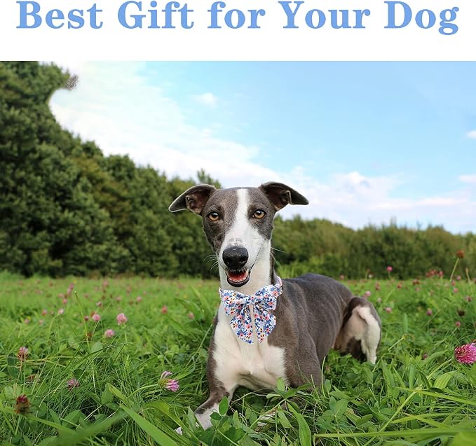 Unique style paws Dog Collar with Tie Adjustable Blue Bowtie Puppy Collars for Small Medium Large Dogs and Cats-XS
