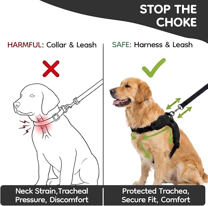 No Pull Reflective Adjustable Dog Harness with Handle- Comfortable Soft All Weather Mesh, Easy On Puppy Harness for Small Medium and Large Dogs (Black) X-Large