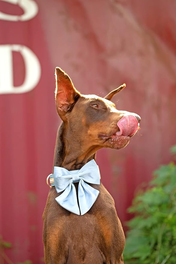Unique style paws Silk Blue Color Dog Collar Adjustable Durable Dog Collar with Bow Wedding Bowtie Collar for Medium Dogs