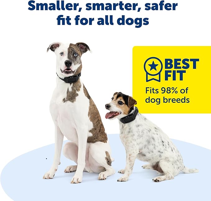 PetSafe Guardian GPS 2.0 Dog Fence + Tracking Wireless Dog Fence with Reliable Dual Frequency GPS Tracking Smaller Collar for All Breeds 10 lbs and Above Subscription Required