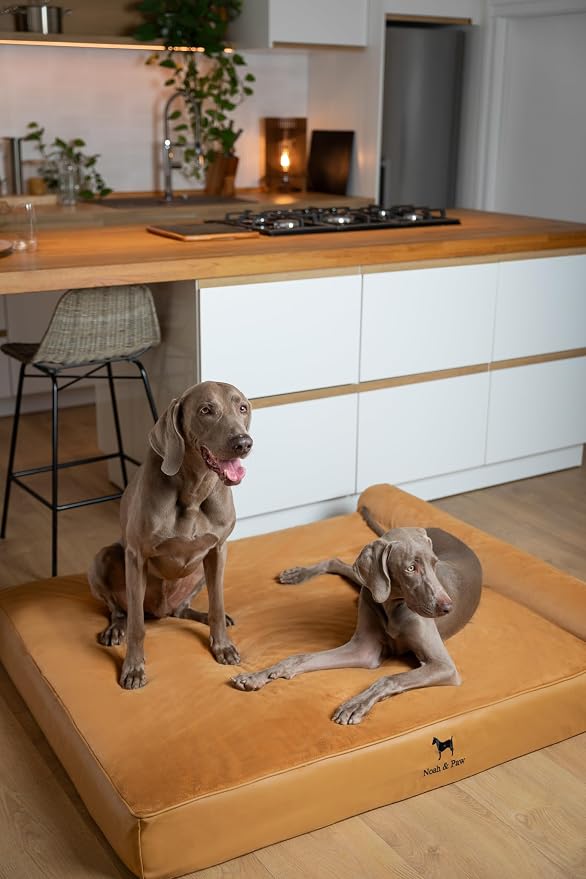 NOAH & PAW Giant Dog Bed XXL 55x45x9.5 Inch, Orthopedic Dog Beds, Eggshell Memory Foam Infused with Cooling Gel, Water Resistant, Machine Washable, Includes Inner Cover (Faux Leather)