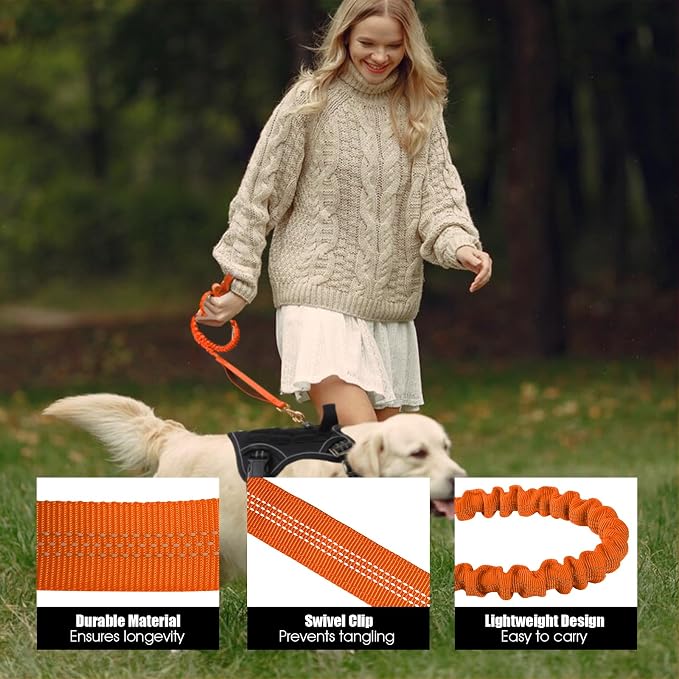 BUMBIN 6Ft Dog Leash - Large Dogs, Bungee Leash with 2 Handles, Heavy Duty, No Pull Shock Absorbing, Orange